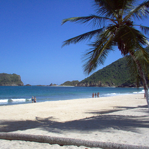 Salvador de Bahía + Imbassaí