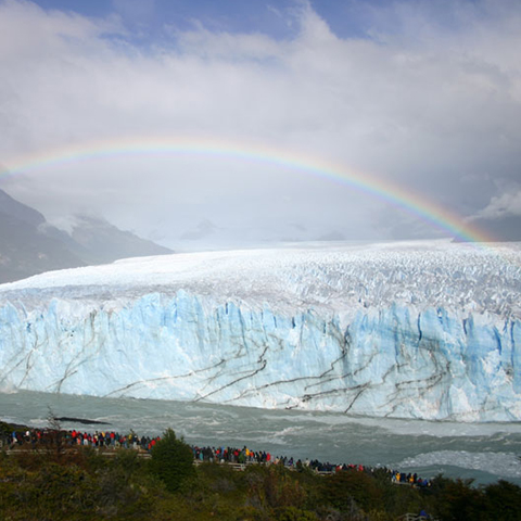 Calafate