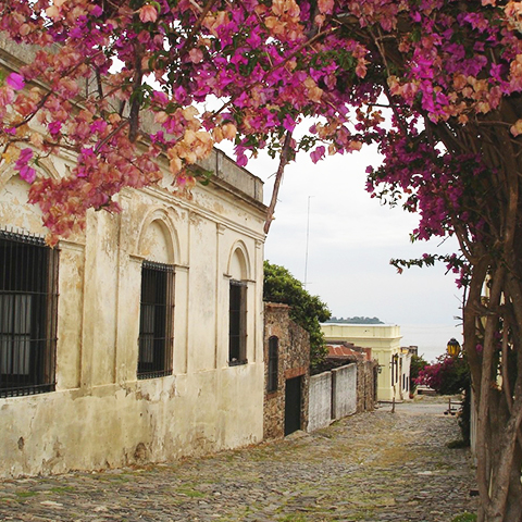 Colonia